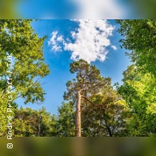 Event-Teaser